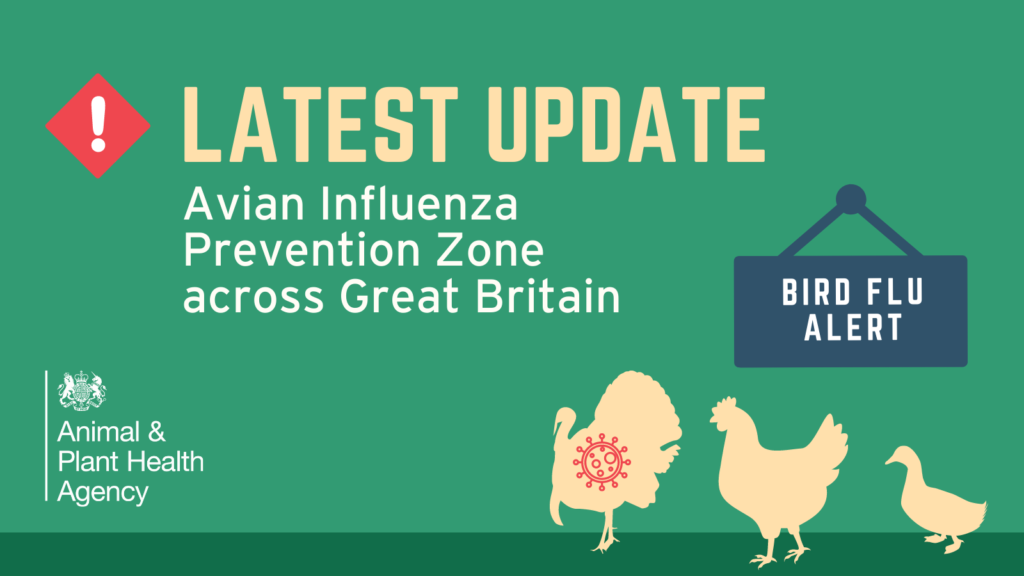 Avian influenza Prevention Zone declared across Great Britain