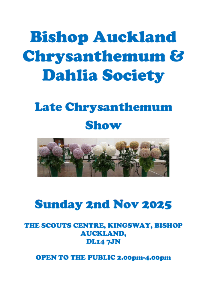 Bishop Auckland Chrysanthemum and Dahlia Society - Late Show Poster, Sunday 2nd November 2025. 2pm-4pm at The Scout Centre, Kingsway, Bishop Auckland.