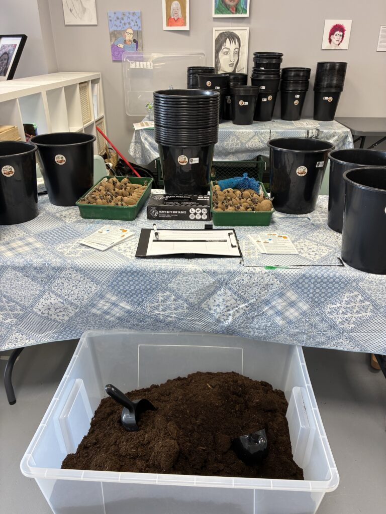 Bishop Auckland Town Councils' Potato Planting Stall inside The Artist Hub (Market Place) at Bishop Auckland Food Festival 2026.
